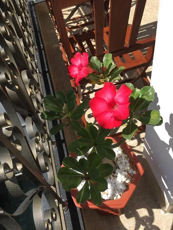 לינה וארוחת בוקר Iris De Villa הוי אן